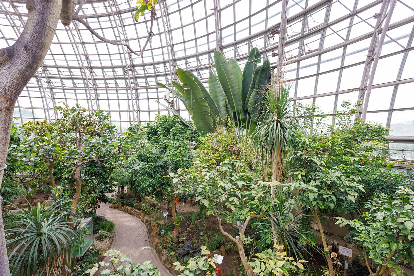 🌳 동곡산 과일 공원(토고쿠산 후르츠 파크) 이미지 7